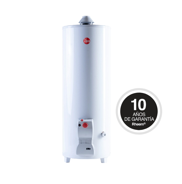 Termotanque 120L Rheem Functional Pie C/Sup 