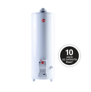 Termotanque 120L Rheem Functional Pie C/Sup 
