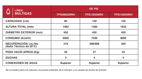 Termotanque 120L Rheem Functional Pie C/Sup
